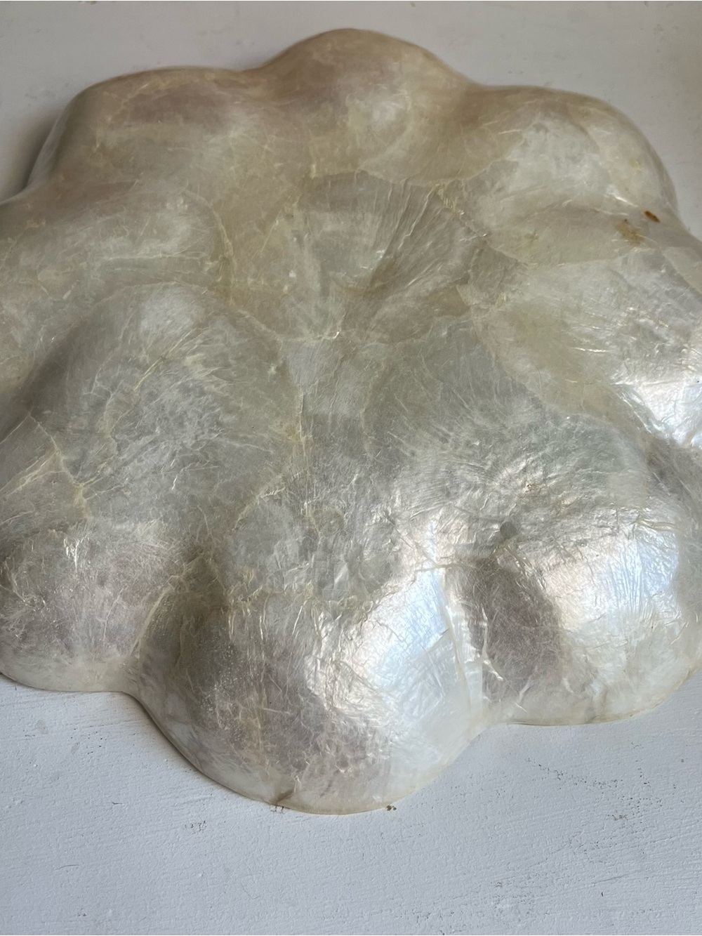 Retro boho Capiz shell style scalloped dish - Picture 4 of 7
